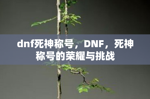 dnf死神称号,DNF,死神称号的荣耀与挑战 dnf死神称号,DNF,死神称号的荣耀与挑战