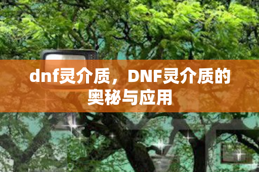 dnf灵介质,DNF灵介质的奥秘与应用 dnf灵介质,DNF灵介质的奥秘与应用