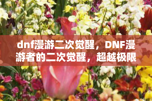 dnf漫游二次觉醒,DNF漫游者的二次觉醒,超越极限的探险之旅 dnf漫游二次觉醒,DNF漫游者的二次觉醒,超越极限的探险之旅