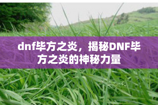dnf毕方之炎,揭秘DNF毕方之炎的神秘力量 dnf毕方之炎,揭秘DNF毕方之炎的神秘力量