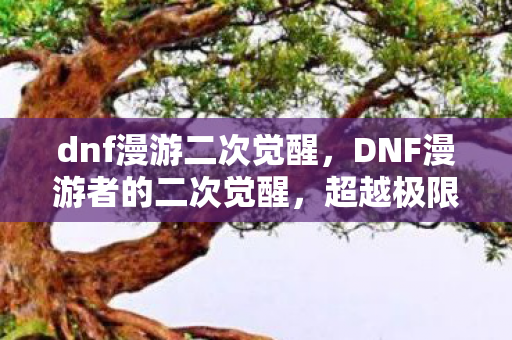 dnf漫游二次觉醒,DNF漫游者的二次觉醒,超越极限,再度觉醒 dnf漫游二次觉醒,DNF漫游者的二次觉醒,超越极限,再度觉醒