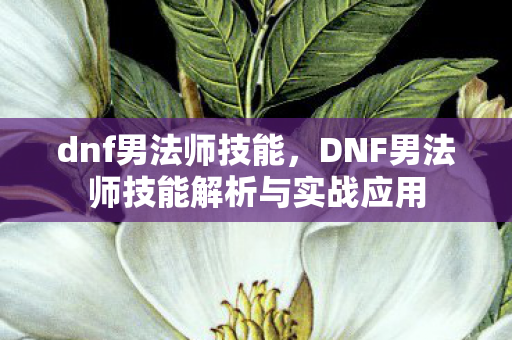 dnf男法师技能,DNF男法师技能解析与实战应用 dnf男法师技能,DNF男法师技能解析与实战应用
