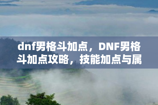 dnf男格斗加点,DNF男格斗加点攻略,技能加点与属性分配指南 dnf男格斗加点,DNF男格斗加点攻略,技能加点与属性分配指南