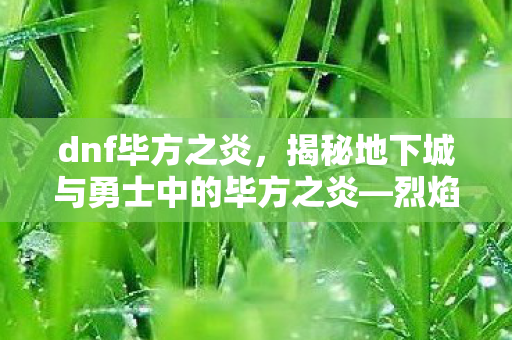 dnf毕方之炎,揭秘地下城与勇士中的毕方之炎—烈焰中的无尽力量 dnf毕方之炎,揭秘地下城与勇士中的毕方之炎—烈焰中的无尽力量