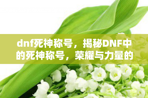 dnf死神称号,揭秘DNF中的死神称号,荣耀与力量的象征 dnf死神称号,揭秘DNF中的死神称号,荣耀与力量的象征