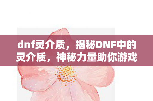 dnf灵介质，揭秘DNF中的灵介质，神秘力量助你游戏飞升