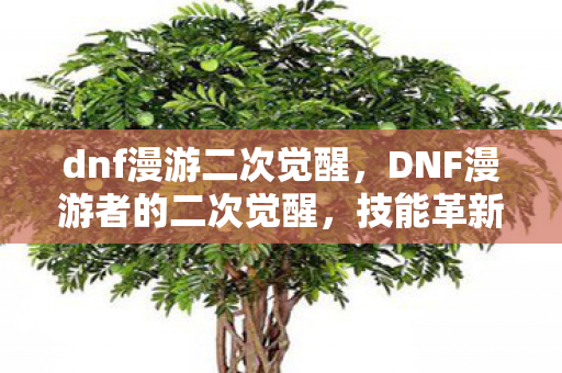 dnf漫游二次觉醒,DNF漫游者的二次觉醒,技能革新与战斗进阶 dnf漫游二次觉醒,DNF漫游者的二次觉醒,技能革新与战斗进阶