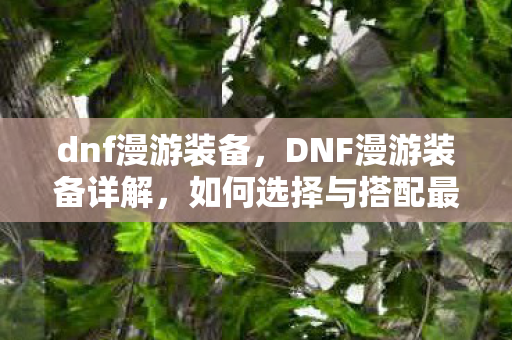 dnf漫游装备,DNF漫游装备详解,如何选择与搭配最佳装备 dnf漫游装备,DNF漫游装备详解,如何选择与搭配最佳装备