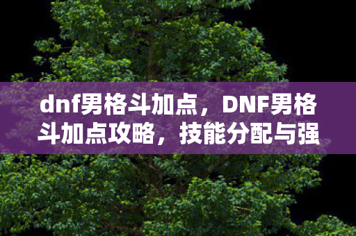 dnf男格斗加点,DNF男格斗加点攻略,技能分配与强化指南 dnf男格斗加点,DNF男格斗加点攻略,技能分配与强化指南