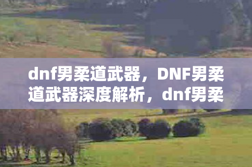 dnf男柔道武器，DNF男柔道武器深度解析，dnf男柔道武器选择