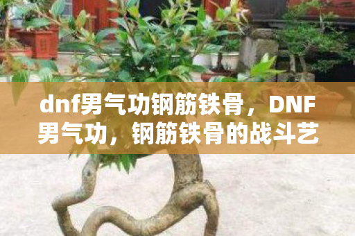 dnf男气功钢筋铁骨，DNF男气功，钢筋铁骨的战斗艺术，dnf女气功钢筋铁骨