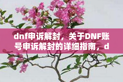 dnf申诉解封,关于DNF账号申诉解封的详细指南,dnf申诉解封网站 dnf申诉解封,关于DNF账号申诉解封的详细指南,dnf申诉解封网站