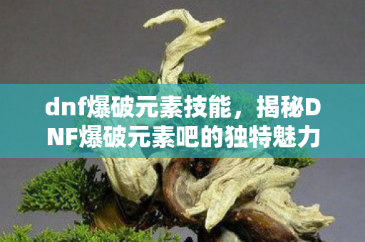 dnf爆破元素技能,揭秘DNF爆破元素吧的独特魅力与精彩内容 dnf爆破元素技能,揭秘DNF爆破元素吧的独特魅力与精彩内容