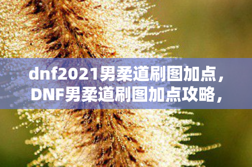 dnf2021男柔道刷图加点,DNF男柔道刷图加点攻略,技能加点与策略解析 dnf2021男柔道刷图加点,DNF男柔道刷图加点攻略,技能加点与策略解析