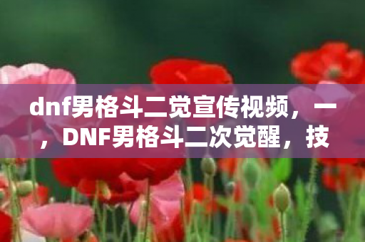 dnf男格斗二觉宣传视频,一,DNF男格斗二次觉醒,技能升级与战斗力的蜕变 dnf男格斗二觉宣传视频,一,DNF男格斗二次觉醒,技能升级与战斗力的蜕变
