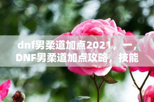 dnf男柔道加点2021,一,DNF男柔道加点攻略,技能加点推荐与实战应用 dnf男柔道加点2021,一,DNF男柔道加点攻略,技能加点推荐与实战应用