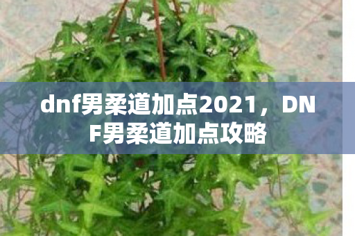 dnf男柔道加点2021,DNF男柔道加点攻略 dnf男柔道加点2021,DNF男柔道加点攻略