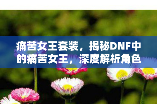 痛苦女王套装,揭秘DNF中的痛苦女王,深度解析角色特性与攻略技巧 痛苦女王套装,揭秘DNF中的痛苦女王,深度解析角色特性与攻略技巧