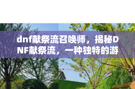 dnf献祭流召唤师,揭秘DNF献祭流,一种独特的游戏策略解析 dnf献祭流召唤师,揭秘DNF献祭流,一种独特的游戏策略解析