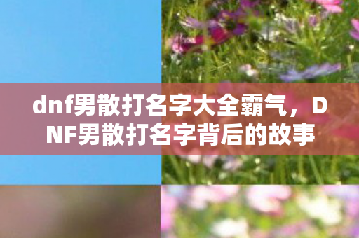 dnf男散打名字大全霸气，DNF男散打名字背后的故事与技巧