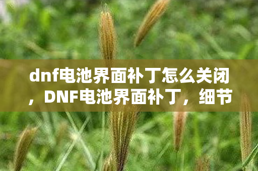 dnf电池界面补丁怎么关闭，DNF电池界面补丁，细节解析与实用指南