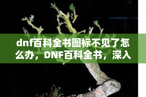 dnf百科全书图标不见了怎么办,DNF百科全书,深入了解地下城与勇士的世界 dnf百科全书图标不见了怎么办,DNF百科全书,深入了解地下城与勇士的世界