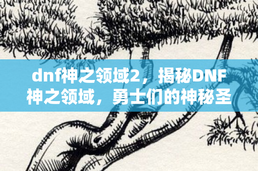 dnf神之领域2,揭秘DNF神之领域,勇士们的神秘圣地 dnf神之领域2,揭秘DNF神之领域,勇士们的神秘圣地