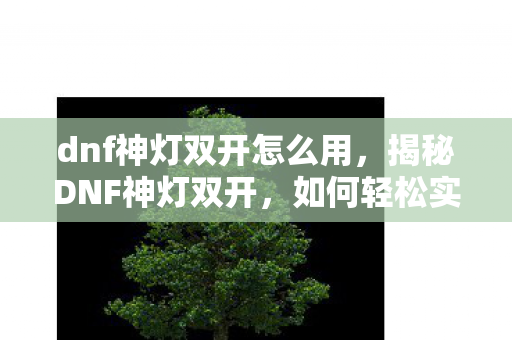 dnf神灯双开怎么用，揭秘DNF神灯双开，如何轻松实现游戏账号同步运行？