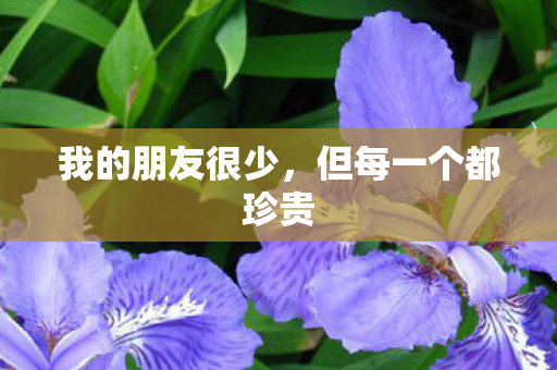 我的朋友很少，但每一个都珍贵