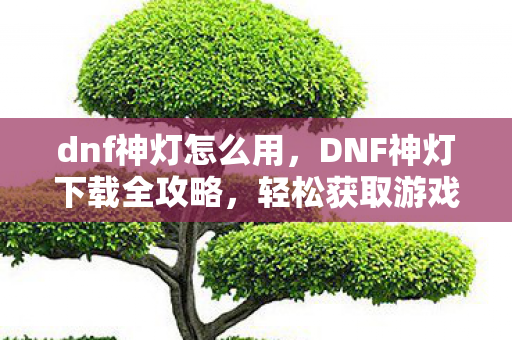 dnf神灯怎么用,DNF神灯下载全攻略,轻松获取游戏辅助工具 dnf神灯怎么用,DNF神灯下载全攻略,轻松获取游戏辅助工具