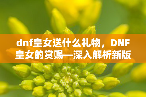dnf皇女送什么礼物,DNF皇女的赏赐—深入解析新版本的福利与机遇 dnf皇女送什么礼物,DNF皇女的赏赐—深入解析新版本的福利与机遇