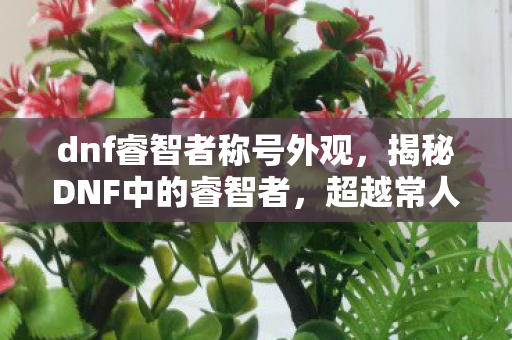 dnf睿智者称号外观,揭秘DNF中的睿智者,超越常人的游戏智慧与策略 dnf睿智者称号外观,揭秘DNF中的睿智者,超越常人的游戏智慧与策略