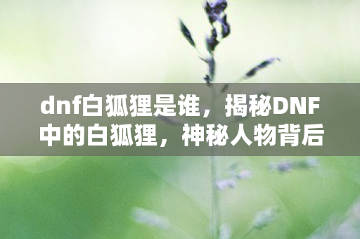 dnf白狐狸是谁,揭秘DNF中的白狐狸,神秘人物背后的故事 dnf白狐狸是谁,揭秘DNF中的白狐狸,神秘人物背后的故事
