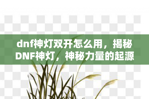 dnf神灯双开怎么用,揭秘DNF神灯,神秘力量的起源与影响 dnf神灯双开怎么用,揭秘DNF神灯,神秘力量的起源与影响