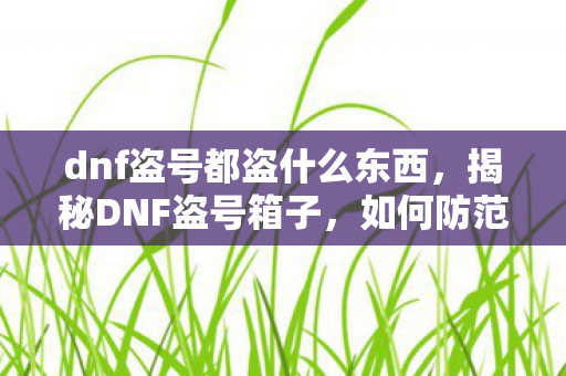 dnf盗号都盗什么东西,揭秘DNF盗号箱子,如何防范与应对账号风险? dnf盗号都盗什么东西,揭秘DNF盗号箱子,如何防范与应对账号风险?