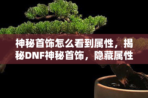 神秘首饰怎么看到属性,揭秘DNF神秘首饰,隐藏属性与独特魅力 神秘首饰怎么看到属性,揭秘DNF神秘首饰,隐藏属性与独特魅力