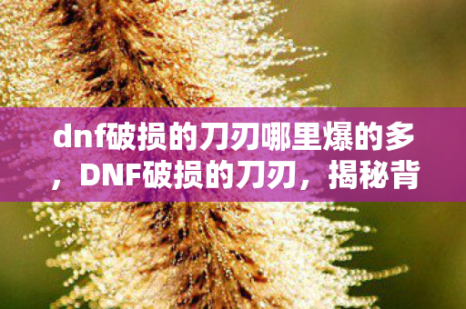 dnf破损的刀刃哪里爆的多,DNF破损的刀刃,揭秘背后的故事与重生之路 dnf破损的刀刃哪里爆的多,DNF破损的刀刃,揭秘背后的故事与重生之路