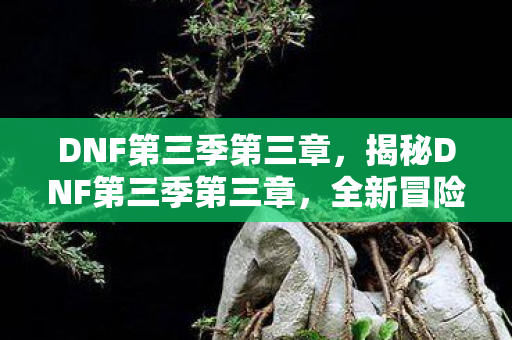 DNF第三季第三章,揭秘DNF第三季第三章,全新冒险与挑战的篇章 DNF第三季第三章,揭秘DNF第三季第三章,全新冒险与挑战的篇章