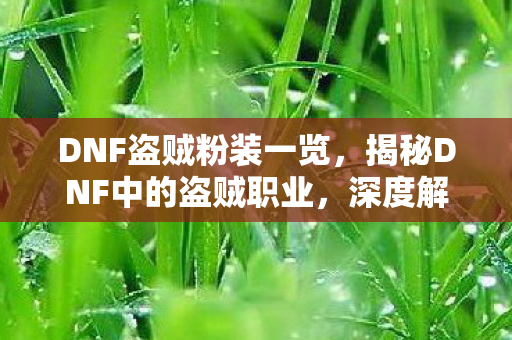 DNF盗贼粉装一览,揭秘DNF中的盗贼职业,深度解析与攻略指南 DNF盗贼粉装一览,揭秘DNF中的盗贼职业,深度解析与攻略指南
