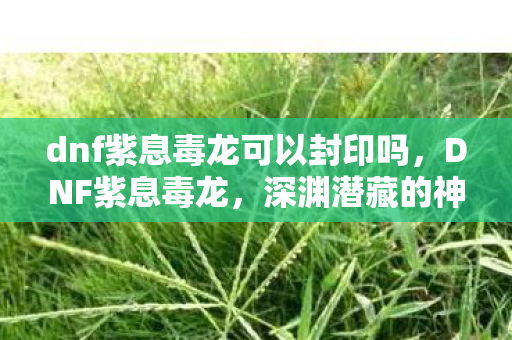 dnf紫息毒龙可以封印吗,DNF紫息毒龙,深渊潜藏的神秘力量 dnf紫息毒龙可以封印吗,DNF紫息毒龙,深渊潜藏的神秘力量