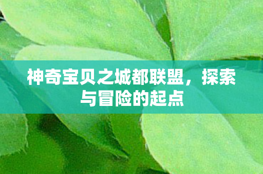神奇宝贝之城都联盟,探索与冒险的起点 神奇宝贝之城都联盟,探索与冒险的起点
