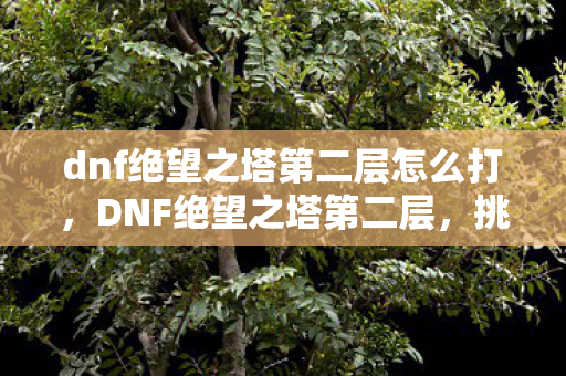 dnf绝望之塔第二层怎么打,DNF绝望之塔第二层,挑战与机遇并存的无尽深渊 dnf绝望之塔第二层怎么打,DNF绝望之塔第二层,挑战与机遇并存的无尽深渊