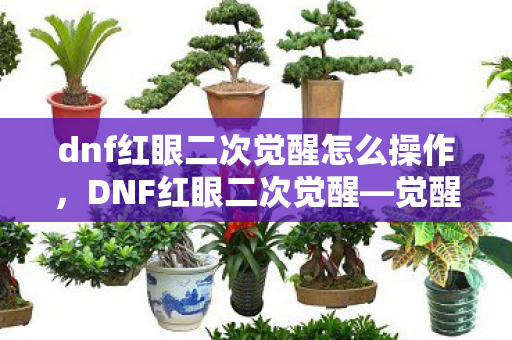dnf红眼二次觉醒怎么操作,DNF红眼二次觉醒—觉醒之力,再战巅峰 dnf红眼二次觉醒怎么操作,DNF红眼二次觉醒—觉醒之力,再战巅峰