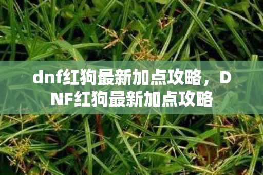 dnf红狗最新加点攻略,DNF红狗最新加点攻略 dnf红狗最新加点攻略,DNF红狗最新加点攻略