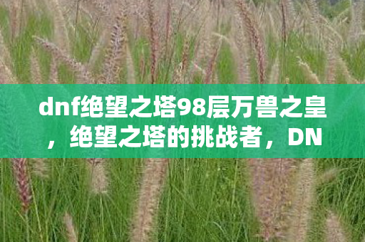 dnf绝望之塔98层万兽之皇,绝望之塔的挑战者,DNF中的绝望之塔第98层攻略 dnf绝望之塔98层万兽之皇,绝望之塔的挑战者,DNF中的绝望之塔第98层攻略