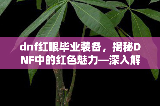 dnf红眼毕业装备,揭秘DNF中的红色魅力—深入解析DNF红 dnf红眼毕业装备,揭秘DNF中的红色魅力—深入解析DNF红