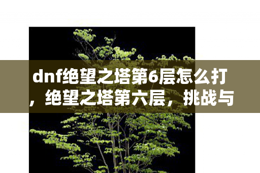 dnf绝望之塔第6层怎么打,绝望之塔第六层,挑战与突破 dnf绝望之塔第6层怎么打,绝望之塔第六层,挑战与突破