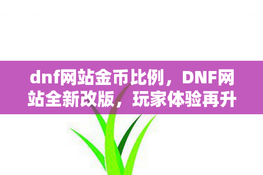 dnf网站金币比例，DNF网站全新改版，玩家体验再升级