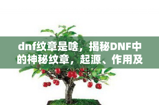 dnf纹章是啥，揭秘DNF中的神秘纹章，起源、作用及获取方式