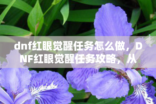 dnf红眼觉醒任务怎么做,DNF红眼觉醒任务攻略,从新手到觉醒,一步步带你飞 dnf红眼觉醒任务怎么做,DNF红眼觉醒任务攻略,从新手到觉醒,一步步带你飞